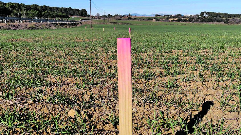 Garrigàs i Arenys d’Empordà units també per una via verda