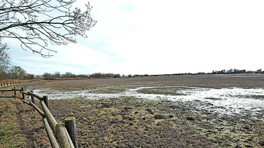Una biodiversitat assedegada