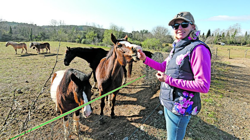 «S’està pressionant tant el món eqüestre que es qüestionen si és ètic»