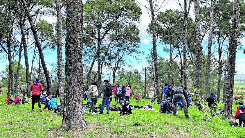 Torna la Festa de l’Arbre amb la participació de 500 escolars