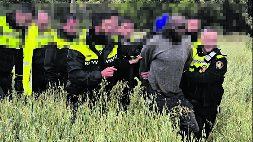 Entra a la protectora i ataca dos empleats i tres gossos