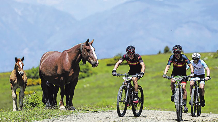 Roses i la Transpyr, un binomi fidel