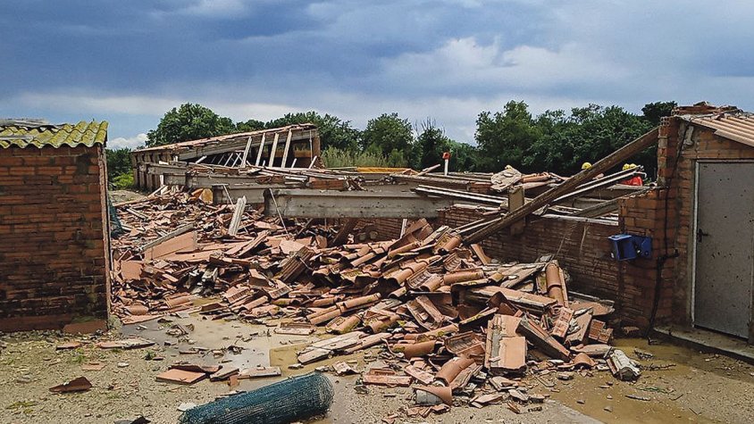 Un esclafit mata fins a 40 porcs d’una granja de Masarac