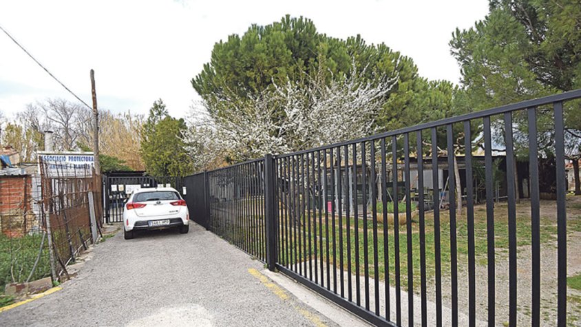 El PACMA reclama una nova gestió per a la gossera de Figueres