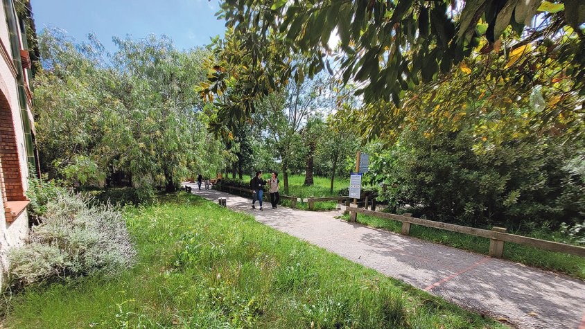 Els Aiguamolls i el Cap de Creus celebren el seu Dia Europeu