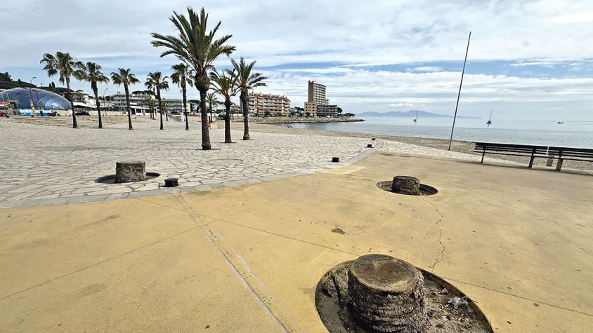 Prenen mesures per evitar accidents amb les palmeres a l'Escala