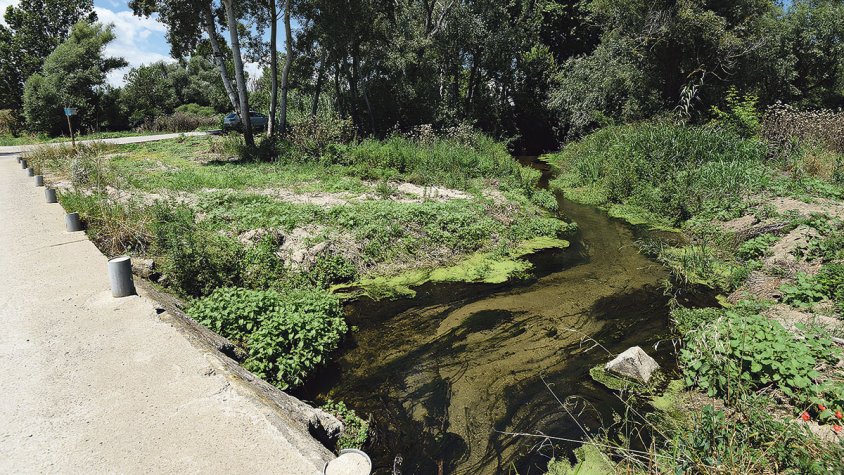 Auditaran l’estat ecològic de la Muga i el Fluvià