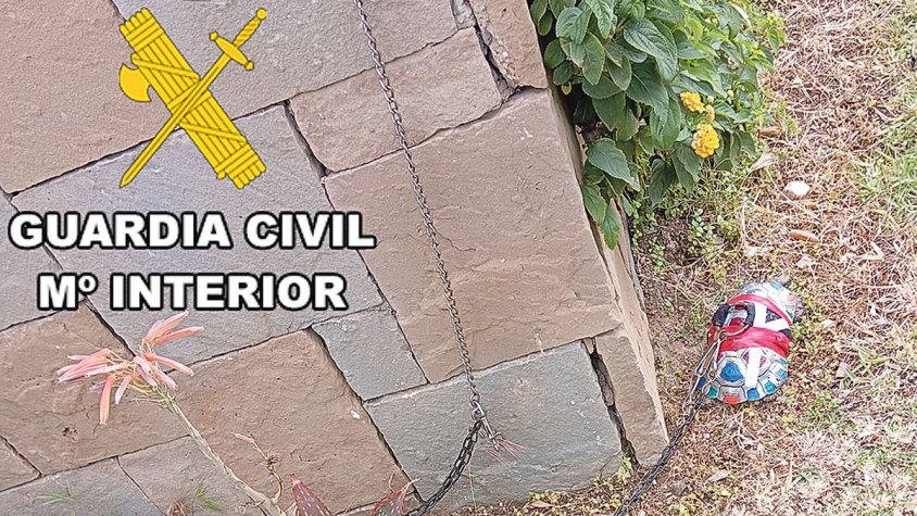 Investigada per tenir una tortuga lligada al pati de casa