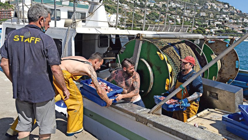 Nova aliança del sector pesquer del Cap de Creus