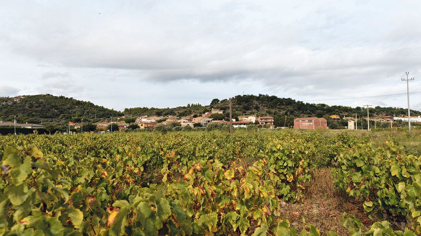 Canvien la denominació del municipi de Masarac