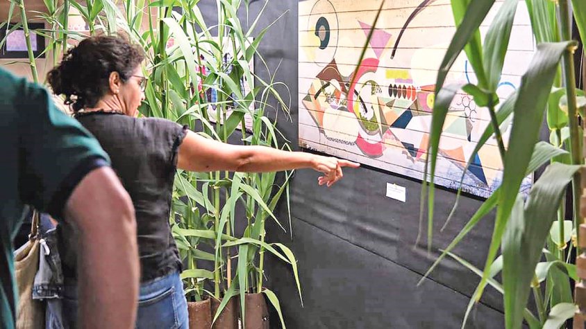 Llum al Bàscara més amagat