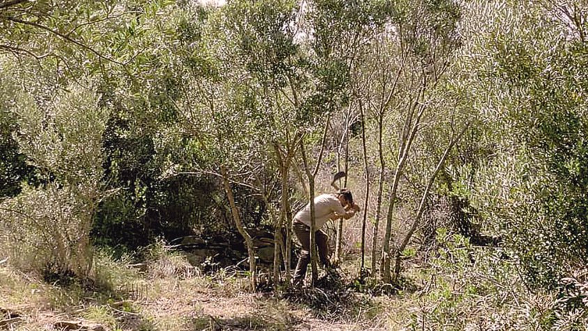 Pep Aymerich protagonista del cicle A+A d’Arbar 