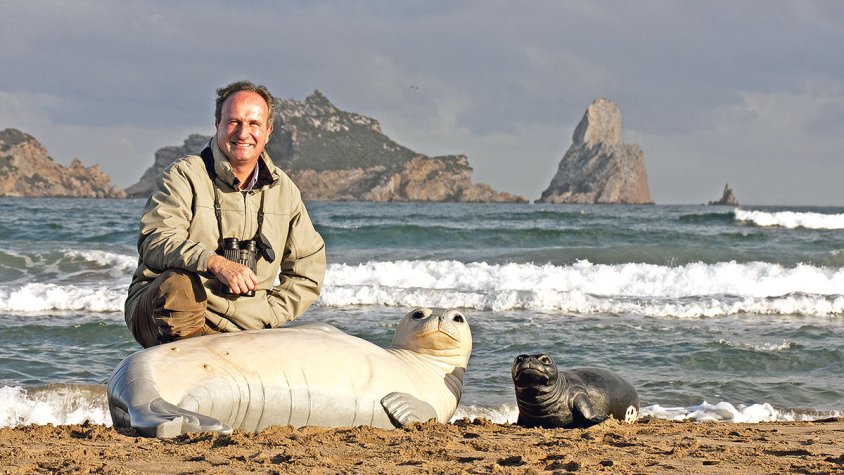 Jordi Sargatal amb un exemplar de foca monjo i la seva cria [FOTOMUNTATGE]