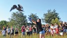 Una jornada a la seu del parc natural realça la importància de la flora i fauna
