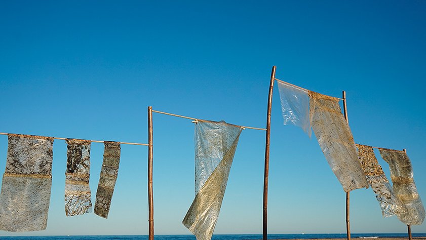 Capella prepara  ‘Bioplàstics’, natura orgànica per substituir el plàstic