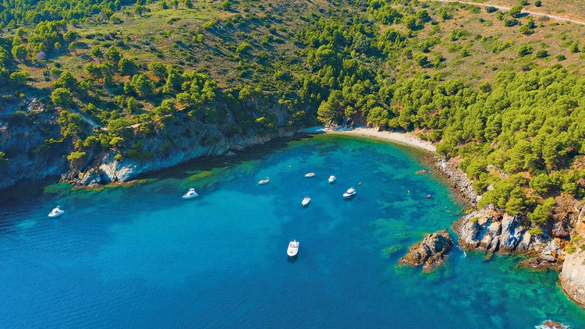Inici de la campanya gastronòmica ‘Cuina de tardor’