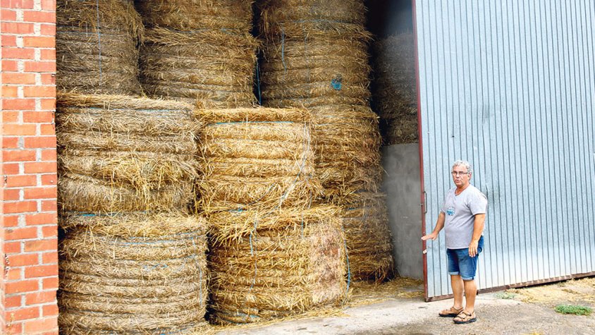 Les pluges permetran ampliar alguns ramats