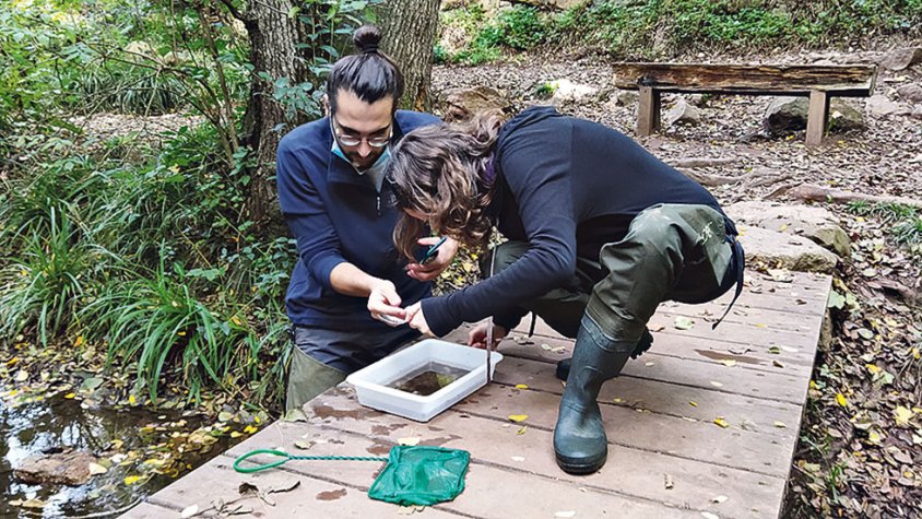 Formen voluntaris per analitzar trams de la Muga i el Fluvià