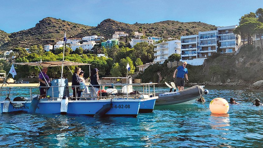 Roses fa pinya per netejar el fons marí