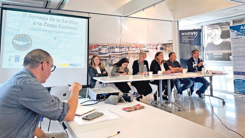 Debaten mesures per protegir la sardina de la costa catalana de la sobreexplotació