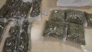 Els enxampen amb 10 kg de marihuana, a Figueres