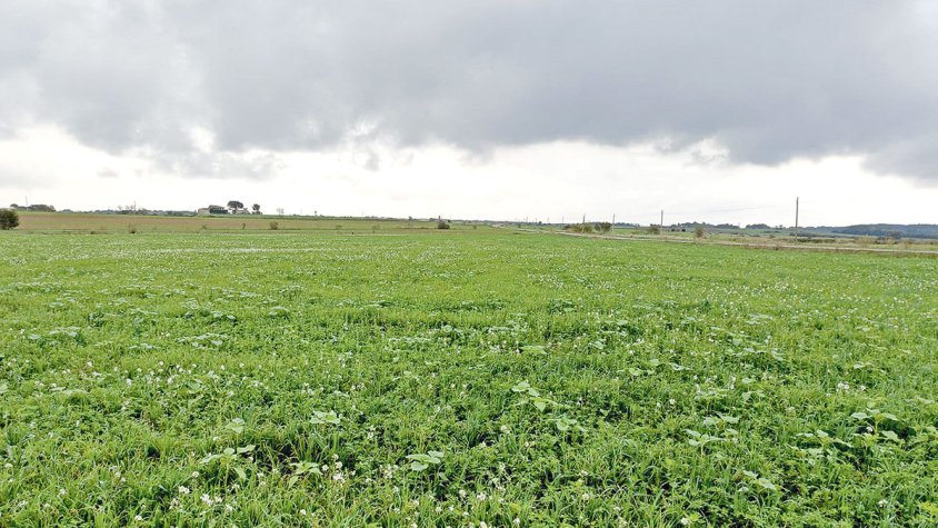 Nou recurs contra la planta solar fotovoltaica de Navata