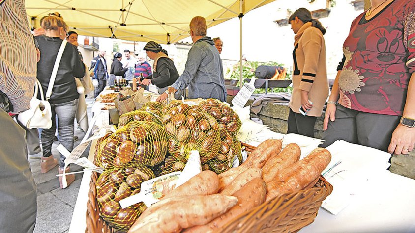 Maçanet de Cabrenys, epicentre de la castanya i el producte de la terra