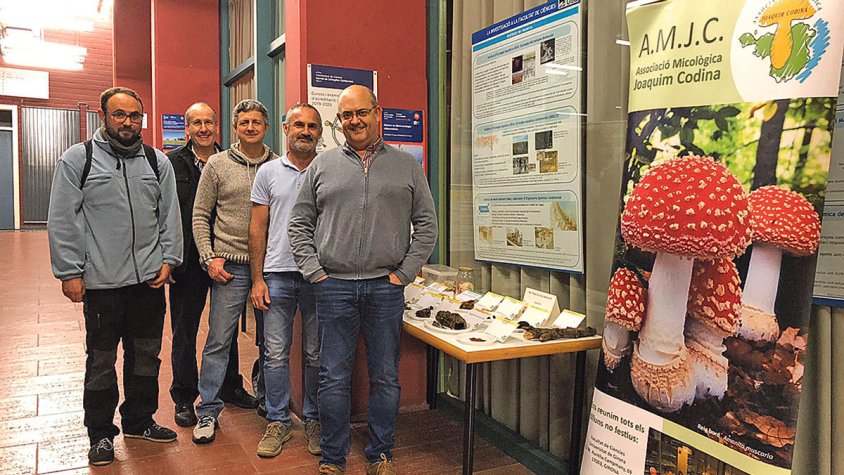 «La massificació de gent al bosc fa que surtin menys bolets»