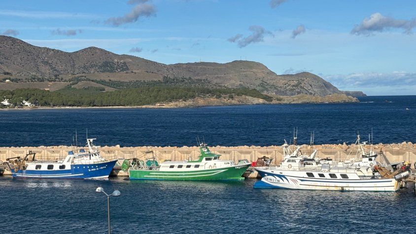Els pescadors aturen l'activitat avui i demà en protesta per les limitacions de la Comissió Europea