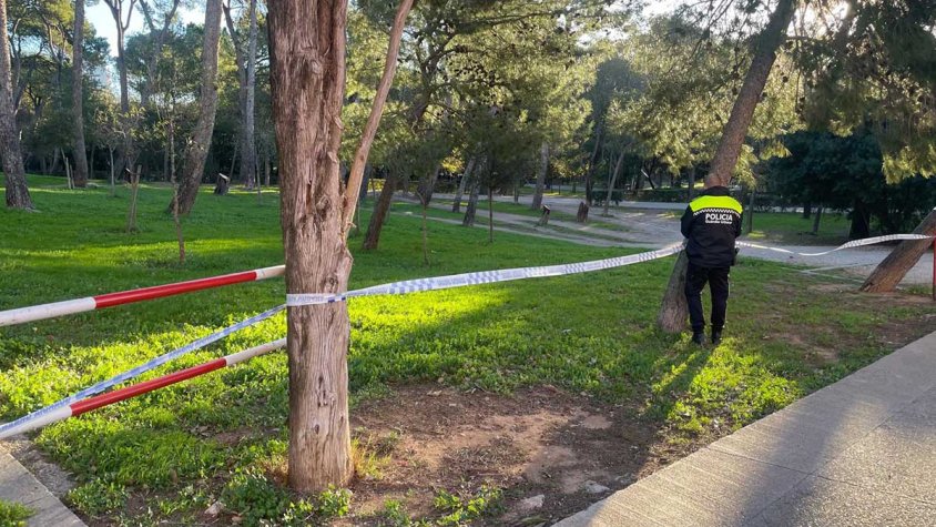 Figueres tanca el parc Bosc i suspèn les activitats a l’aire lliure