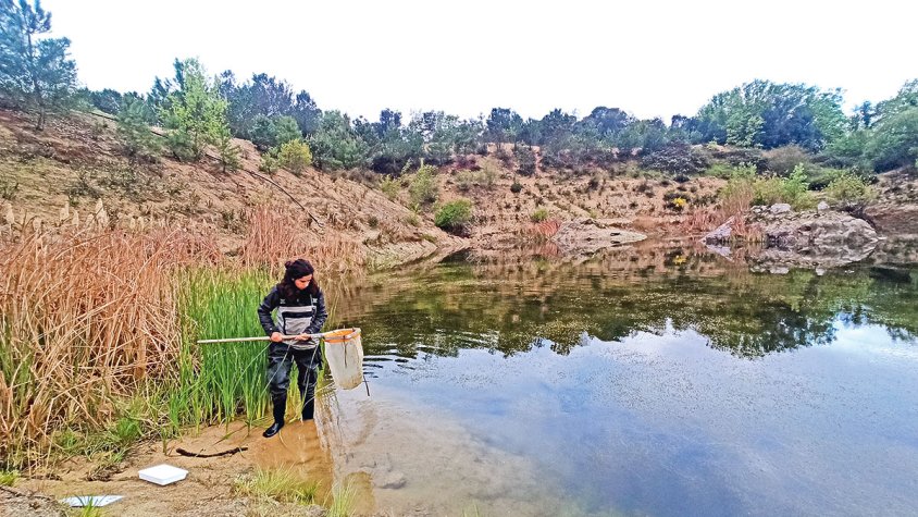 Identifiquen 144 pedreres abandonades que poden ser refugi de fauna amenaçada