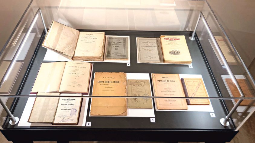 VINSEUM dedica una mostra a Eduard Puig Vayreda