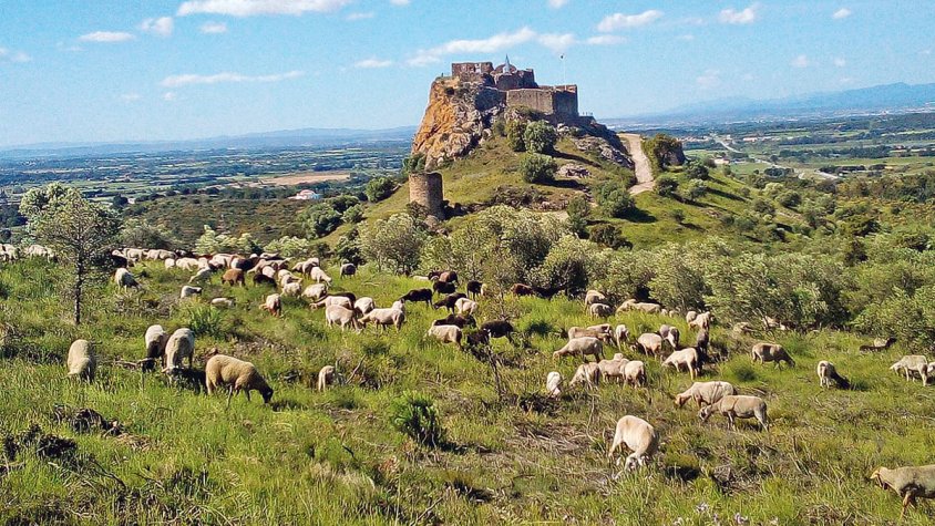 Més facilitats per tramitar els ajuts als ramats