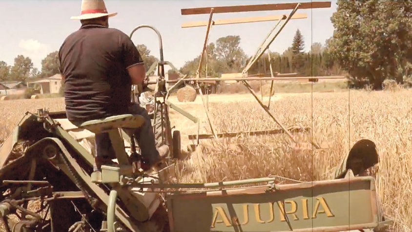 A la cerca del Pagès de Ferro
