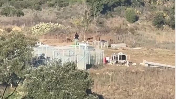 Denuncien una parella que volia muntar un viver de gossos sense permís a Capmany