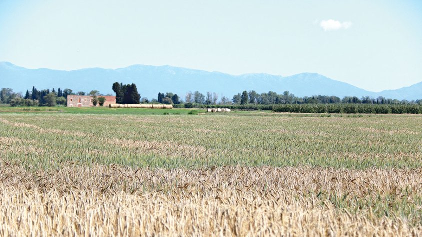 Tornem a l’emergència
