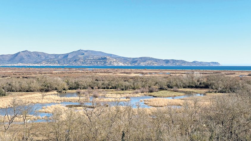 Pla per dotar de més aigua els Aiguamolls i el baix Fluvià