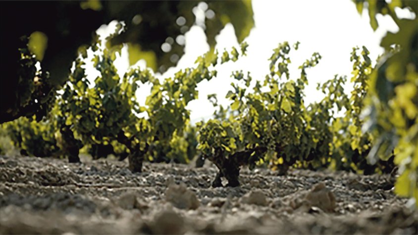 Empordàlia consolida la seva aposta sostenible