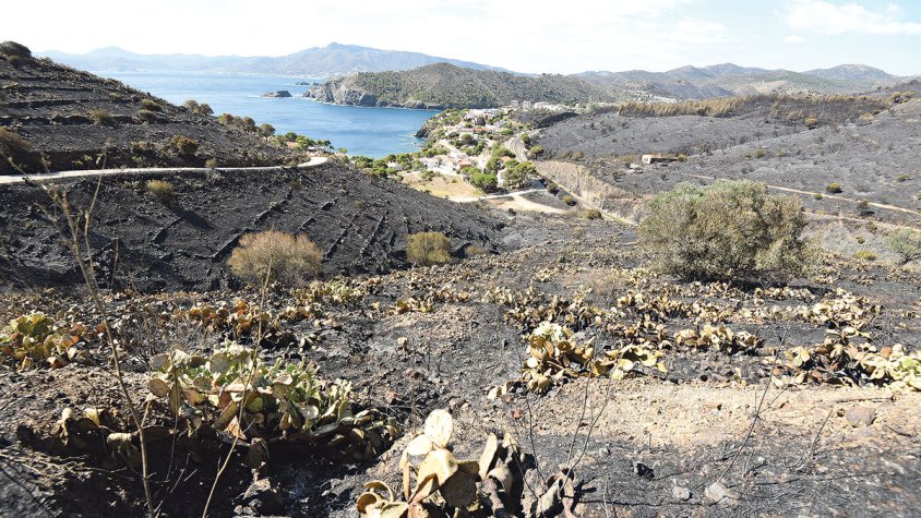 Suspenen la revocació del bomber