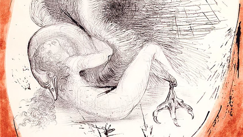 Dalí s’estrena a Nova Delhi amb ‘Dalí comes to India’