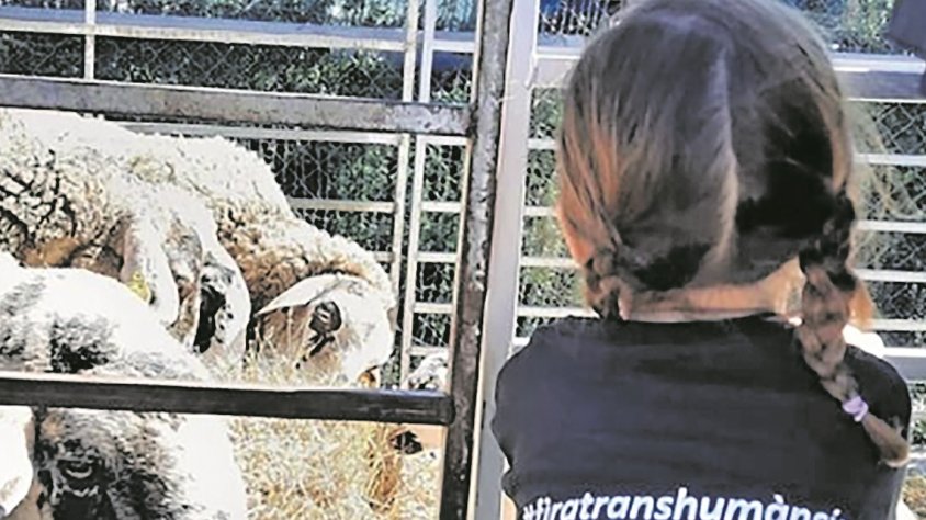 Mollet de Peralada homenatja el sector ramader amb la Fira de la Transhumància