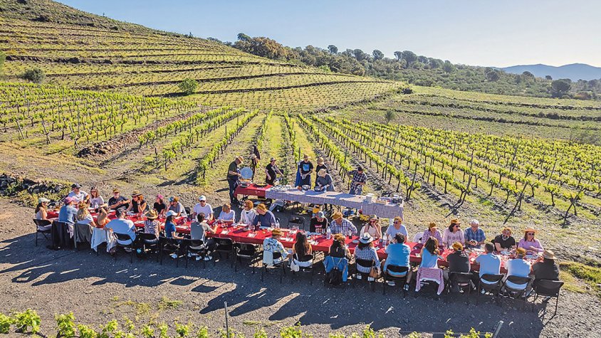 El 12è Vívid celebrarà el mig segle de la DO Empordà