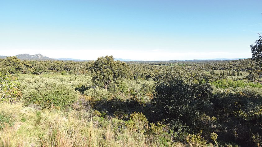 Regularan la circulació i les activitats a l’Albera