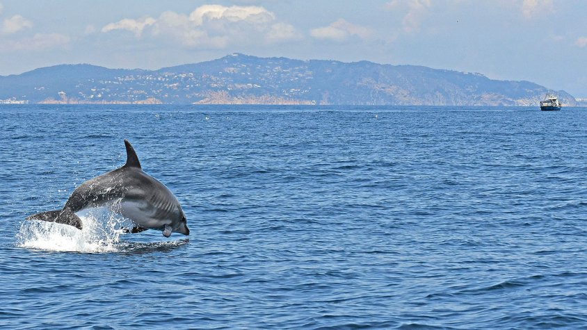 Se’n van de la Costa Brava