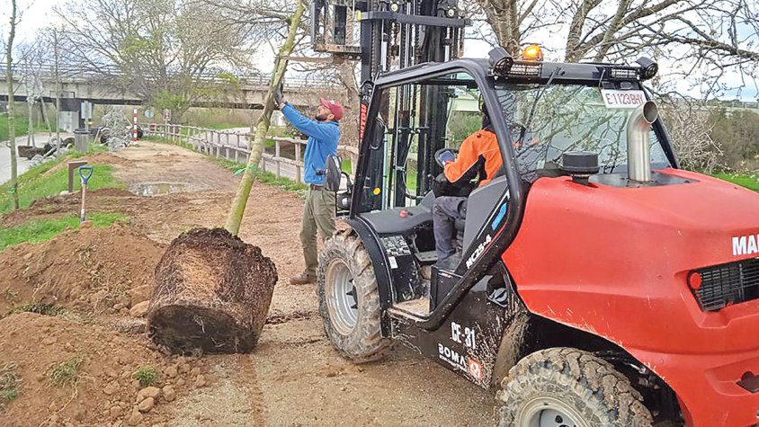Planten 450 arbres a la Via Verda de la Muga