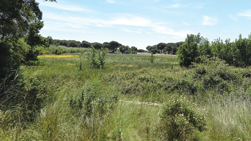 Protegint els espais de la Xarxa Natura 2000