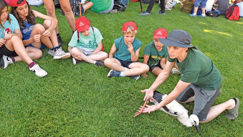 Jornada lúdica i educativa amb la cigonya blanca de Peralada