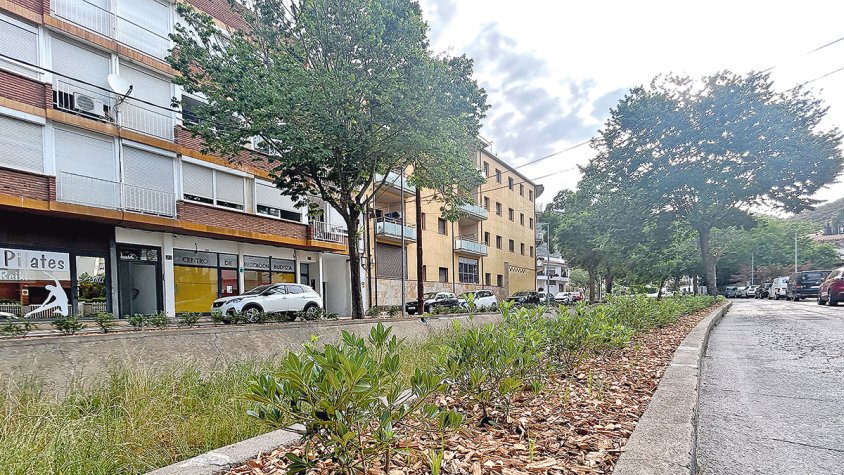 Roses esponja tot l’entorn de la riera de la Cuana