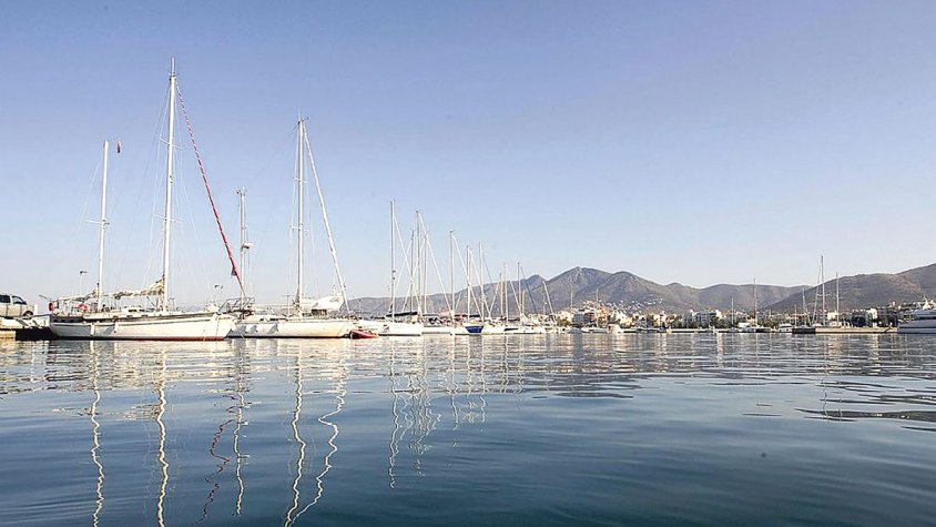 Nova proposta a Roses per conèixer la biodiversitat marina del port
