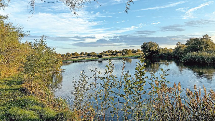 Dubtes amb la gestió dels parcs naturals pel final de contracte de 38 empleats 